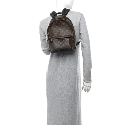 Louis Vuitton Monogram Palm Springs Backpack PM 2 of 10