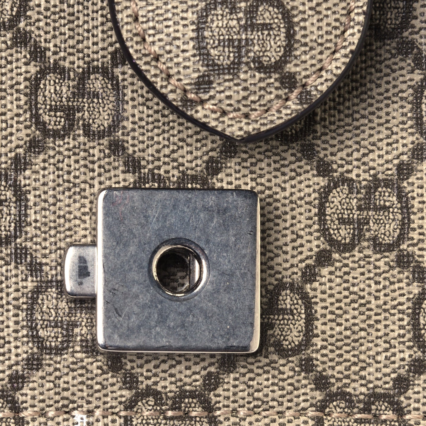 GG Supreme Monogram Small Dionysus Shoulder Bag Taupe