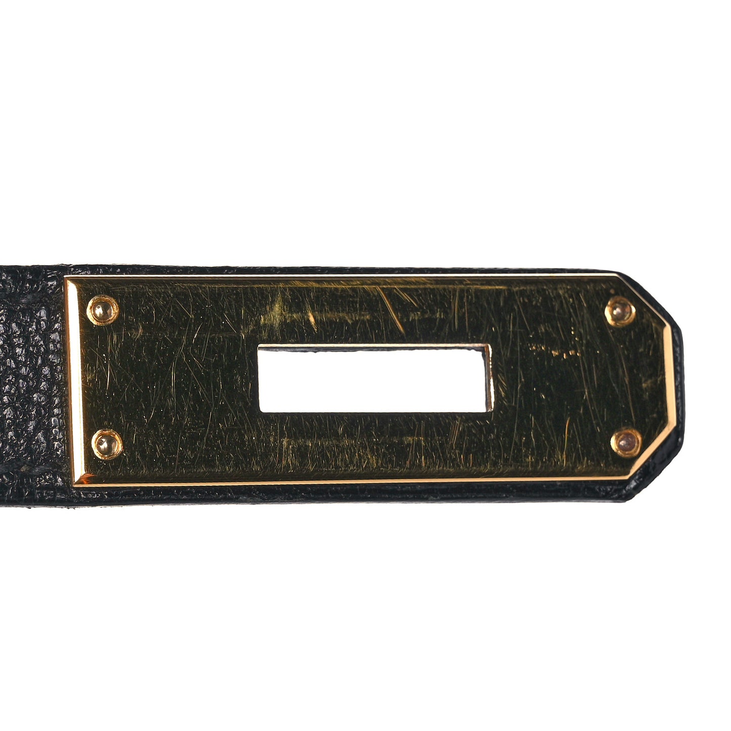 Chevre de Coromandel Birkin 35 Black