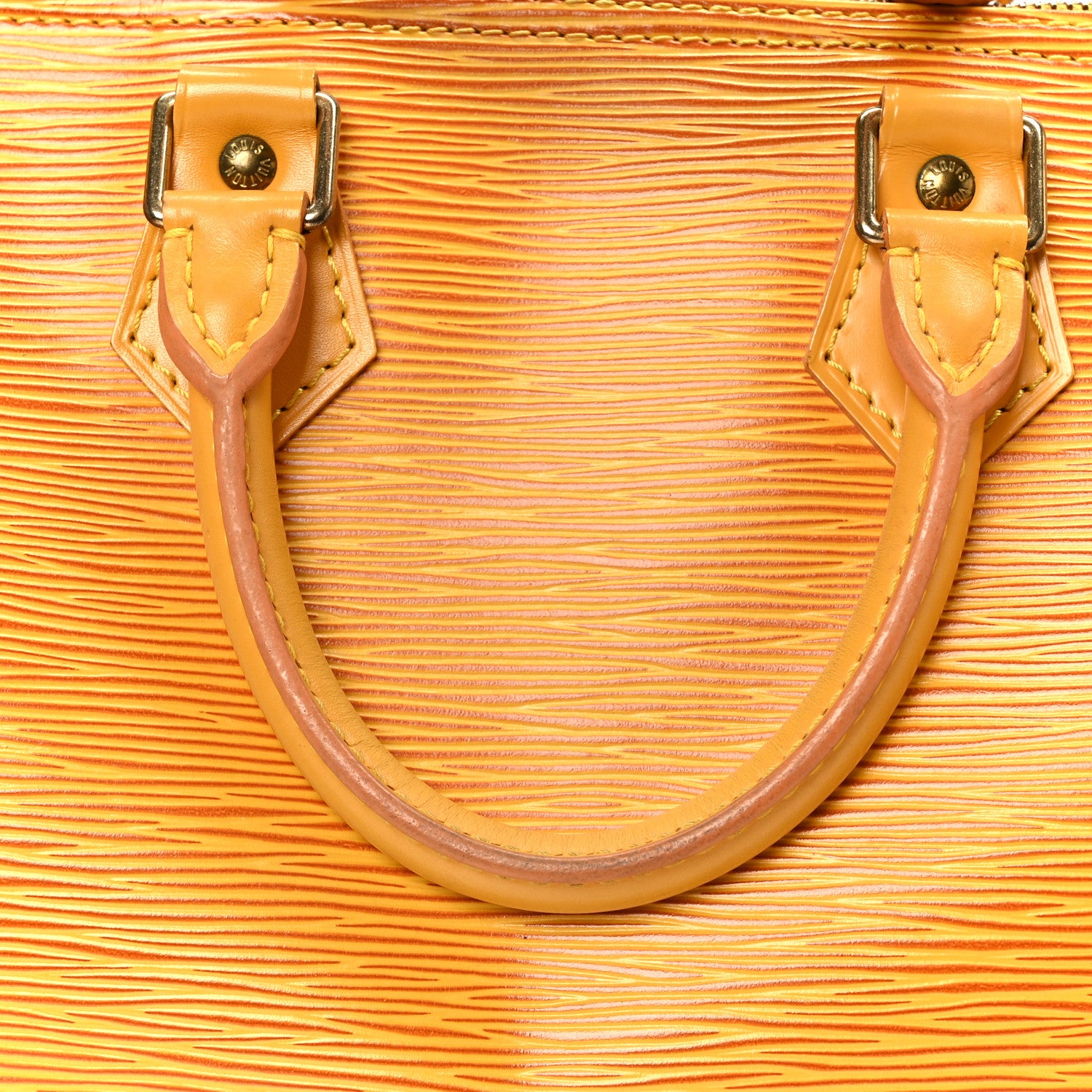 Louis Vuitton Epi Speedy 25 Tassil 9 of 13