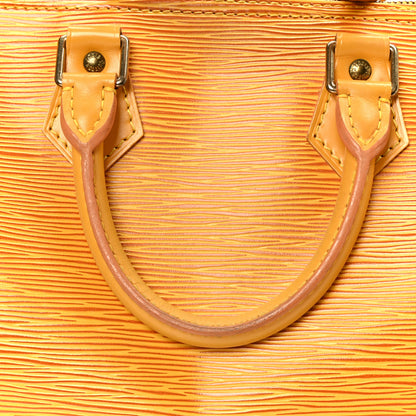 Louis Vuitton Epi Speedy 25 Tassil 9 of 13