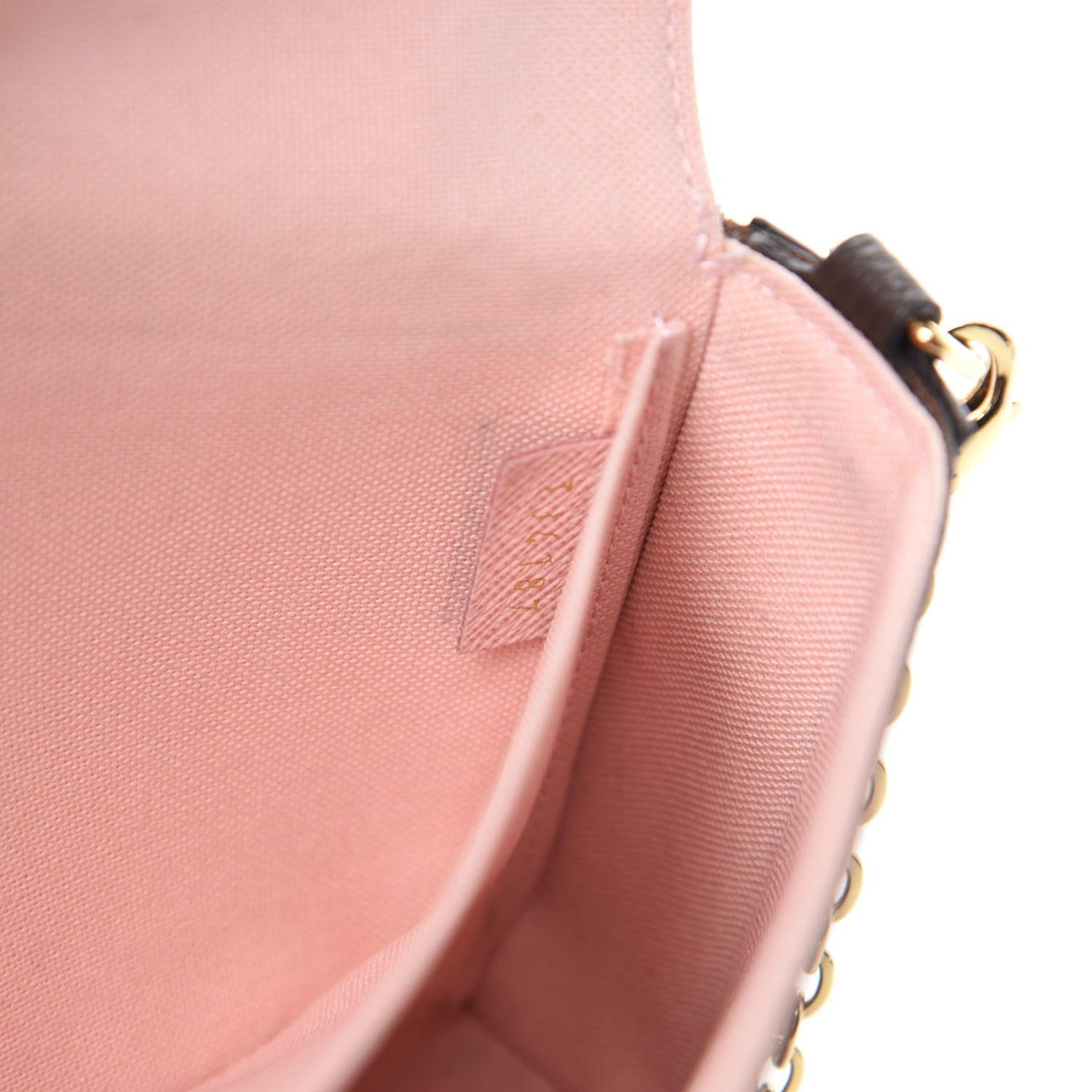 Louis Vuitton Monogram Valentine Dog Pochette Felicie Chain Wallet 12 of 13