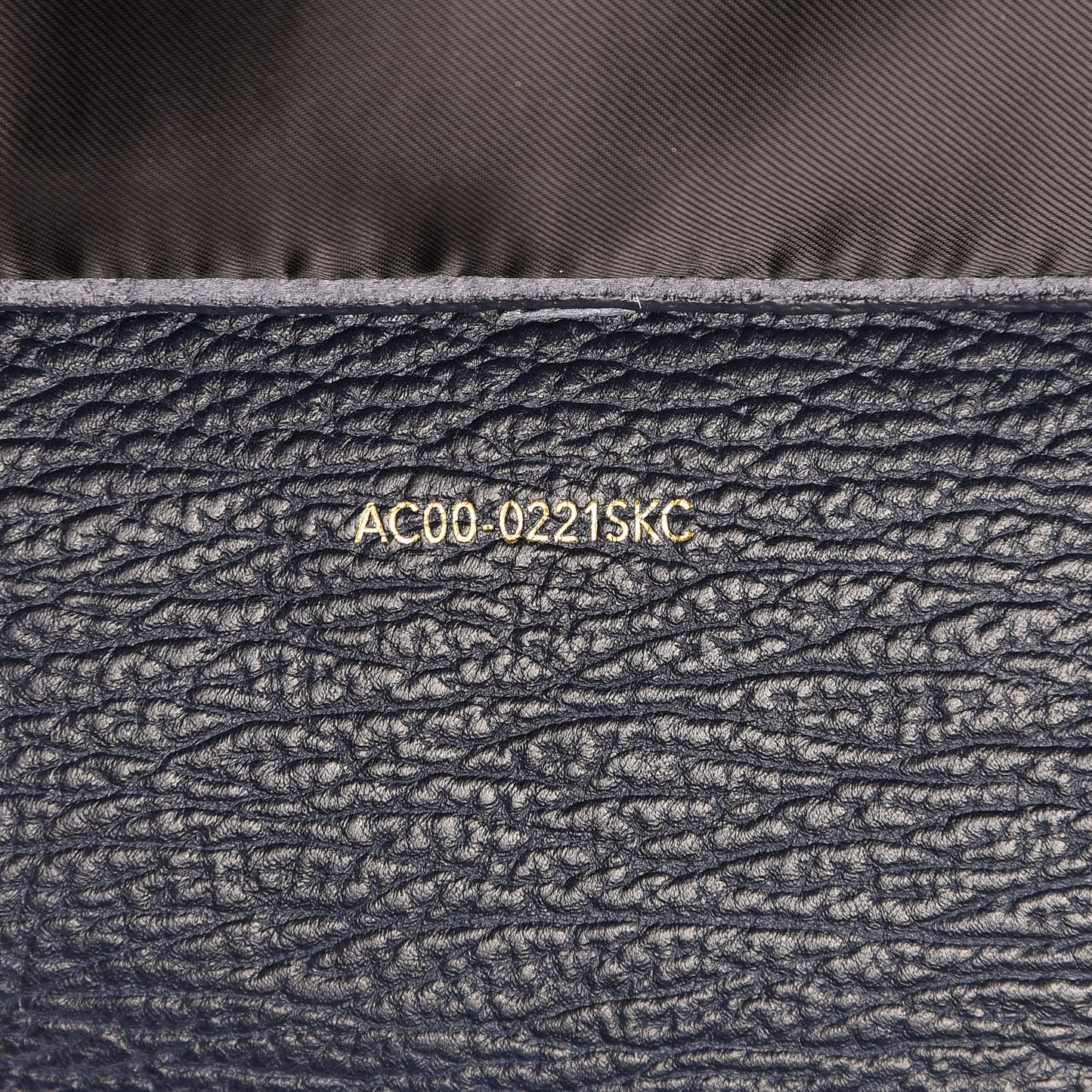 3.1 Textured Calfskin Large Pashli Satchel Ink