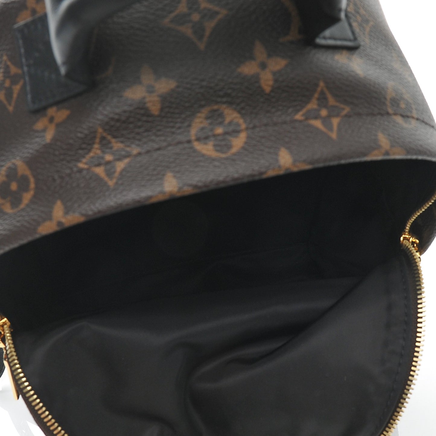 Monogram Palm Springs Backpack PM