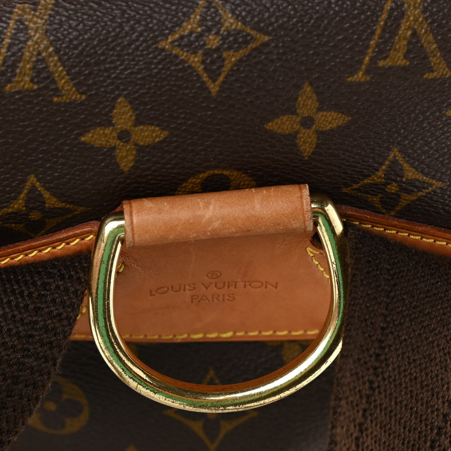 Monogram Montsouris GM Backpack