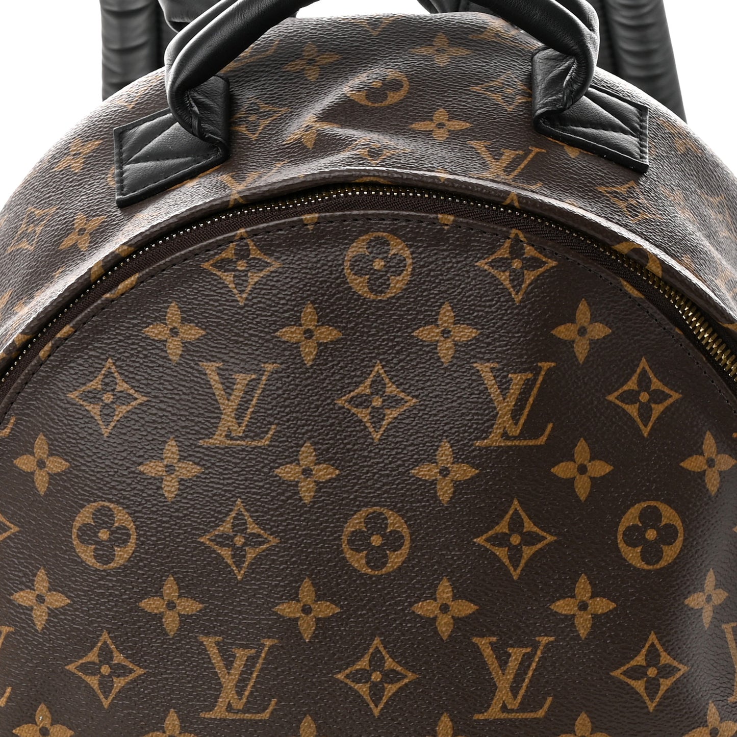 Monogram Palm Springs Backpack MM