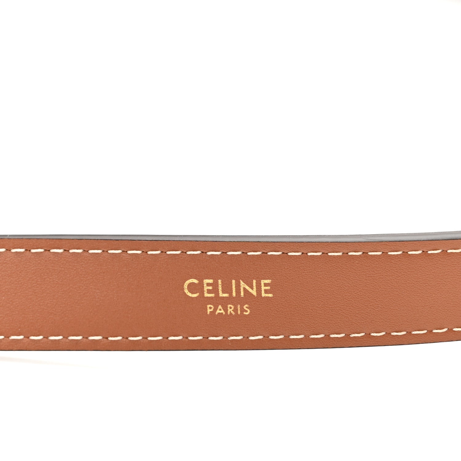 Celine Triomphe Canvas Calfskin Ava Shoulder Bag Tan 6 of 9