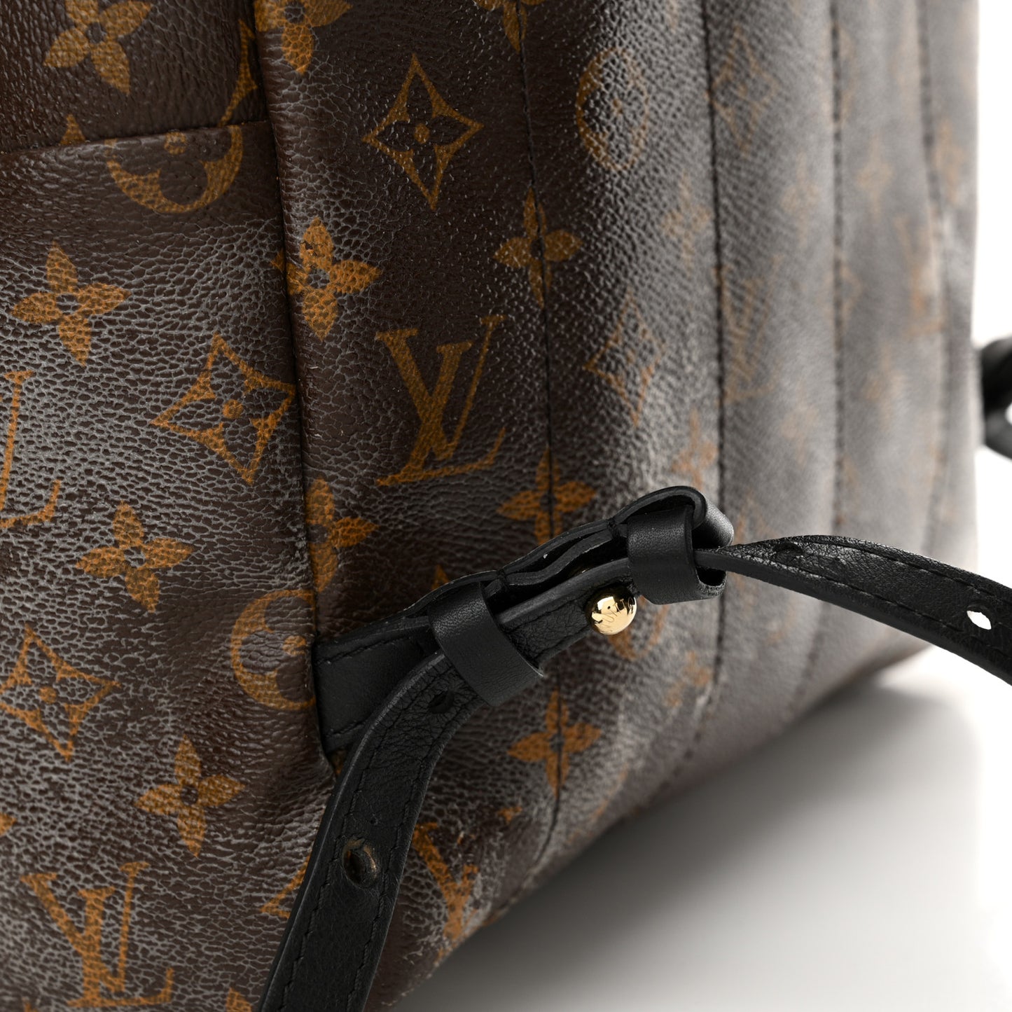 Monogram Palm Springs Backpack MM