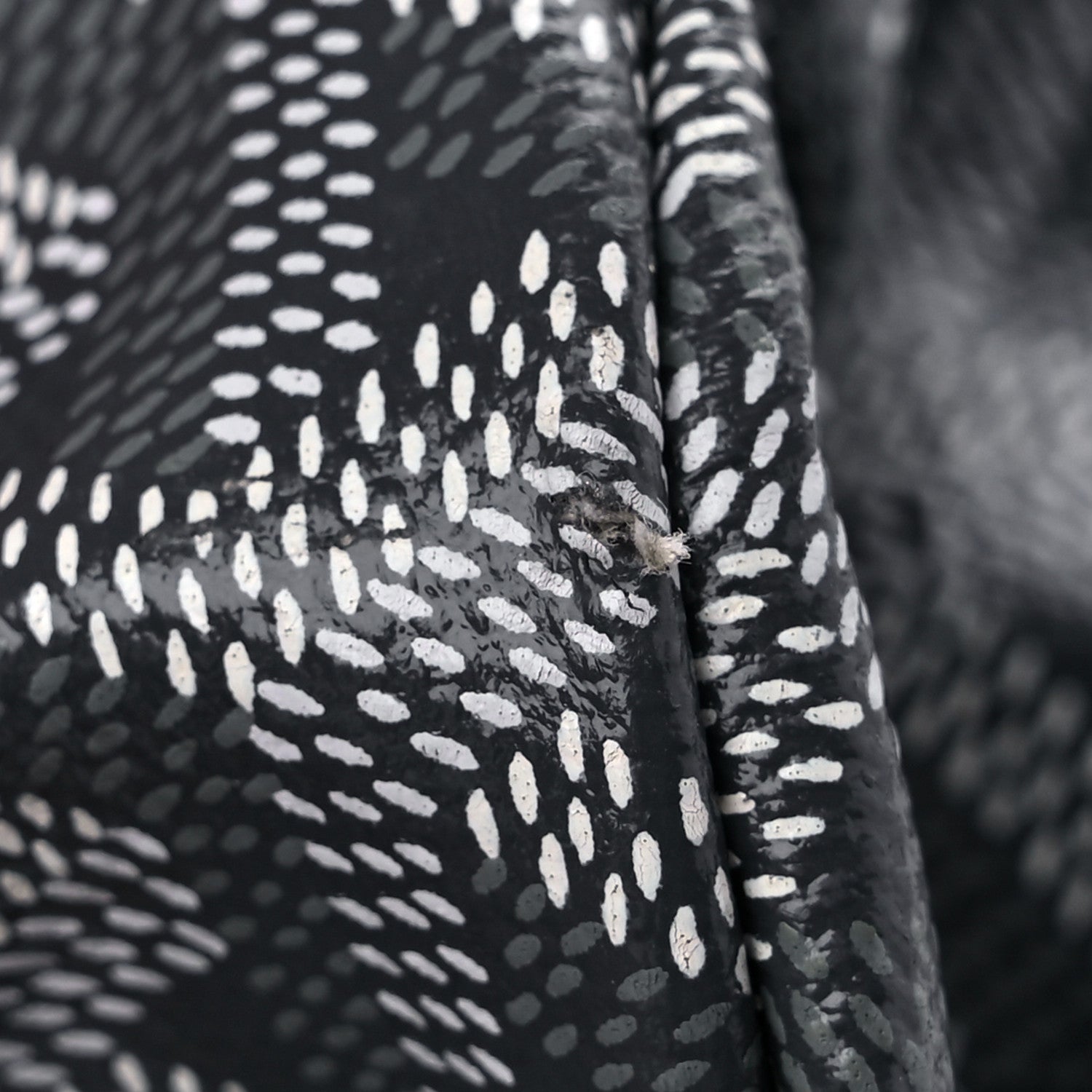 Goyard Goyardine Saint Louis PM Grey 11 of 11