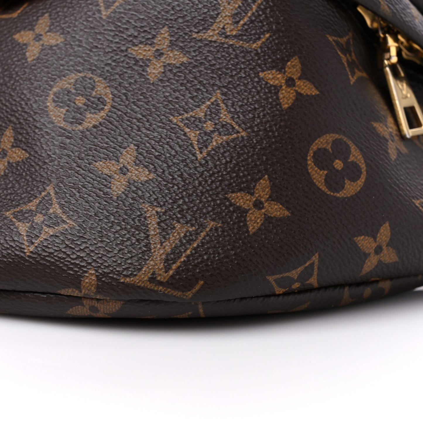 Monogram Bumbag