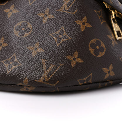 Louis Vuitton Monogram Bumbag 8 of 15