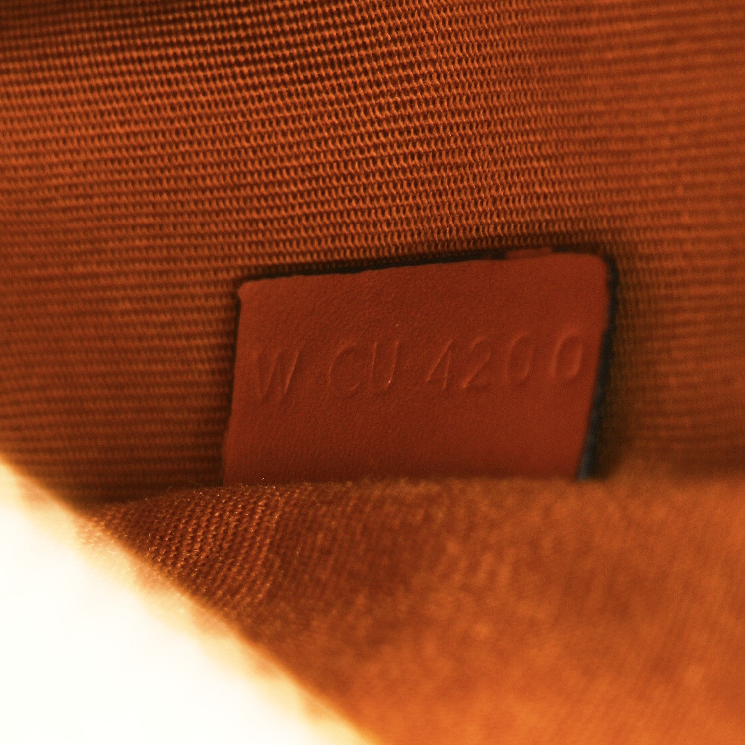 Celine Triomphe Canvas Small Camera Bag Tan 6 of 9