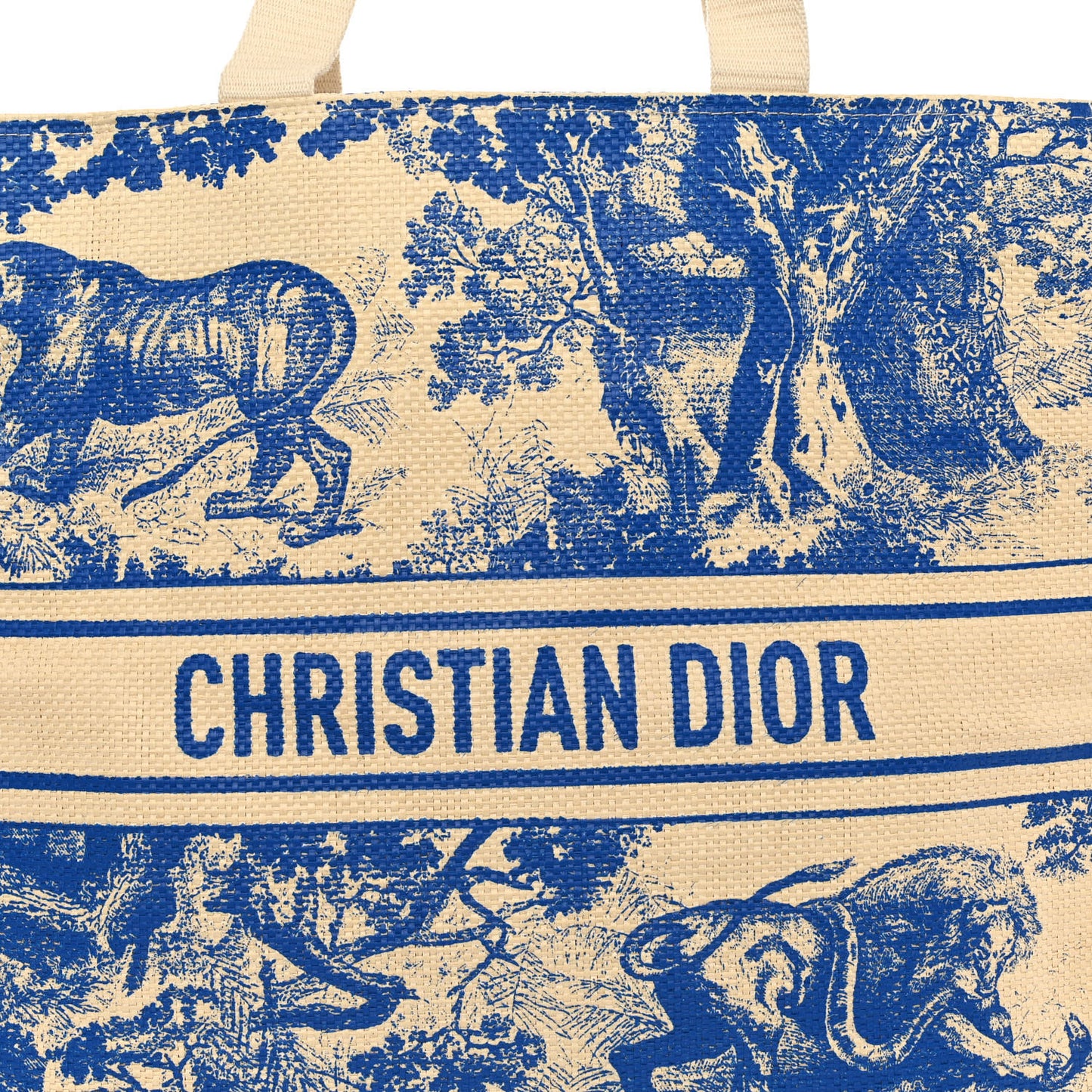 CHRISTIAN DIOR Straw Dioriviera Tote Blue