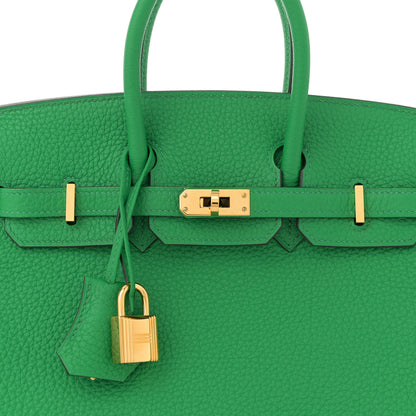 Hermes Togo Birkin 25 Bambou 8 of 12