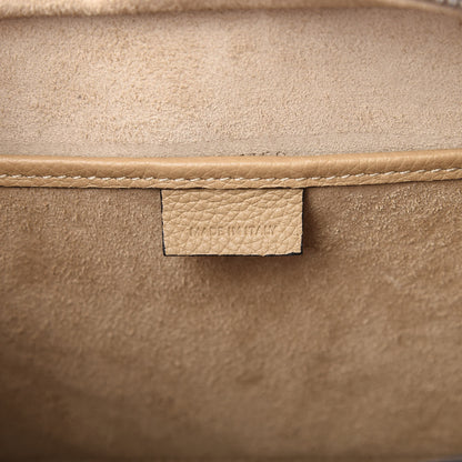 Celine Drummed Calfskin Nano Luggage Dune 9 of 10