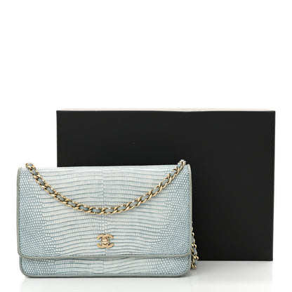 Chanel Lizard Wallet on Chain WOC Light Grey 19 of 19