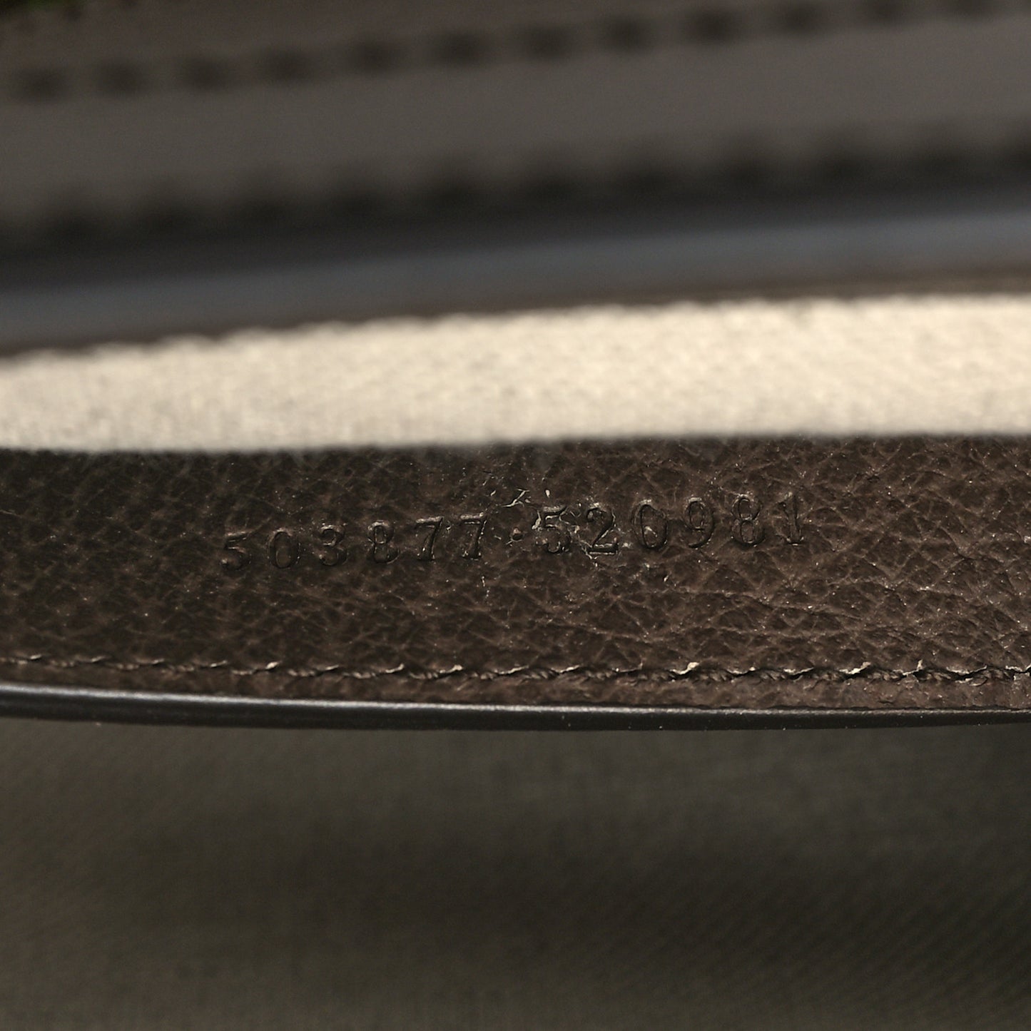 Monogram Jumbo GG Textured Dollar Calfskin Web Small Ophidia Chain Shoulder Bag Camel Ebony New Acero