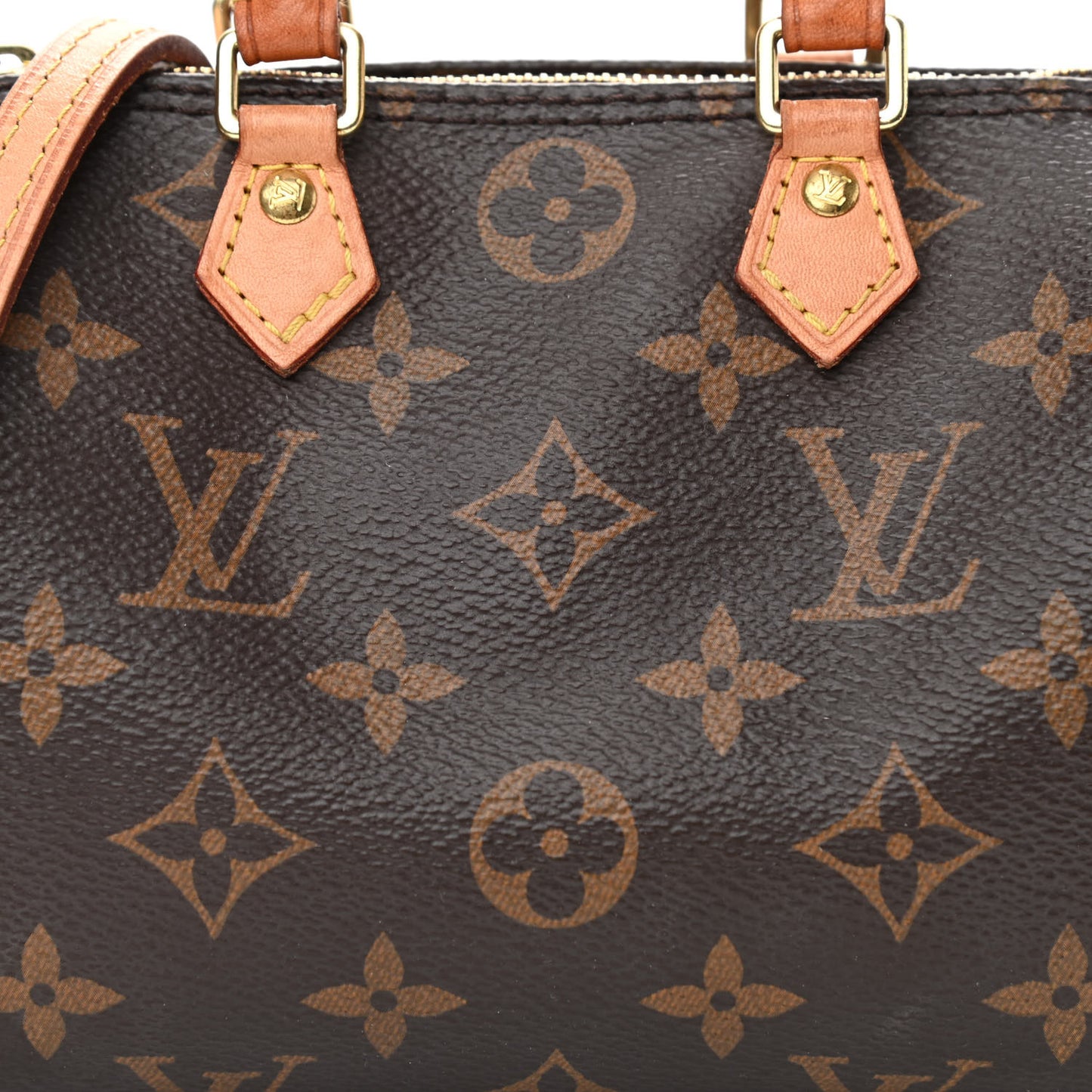 Monogram Nano Speedy