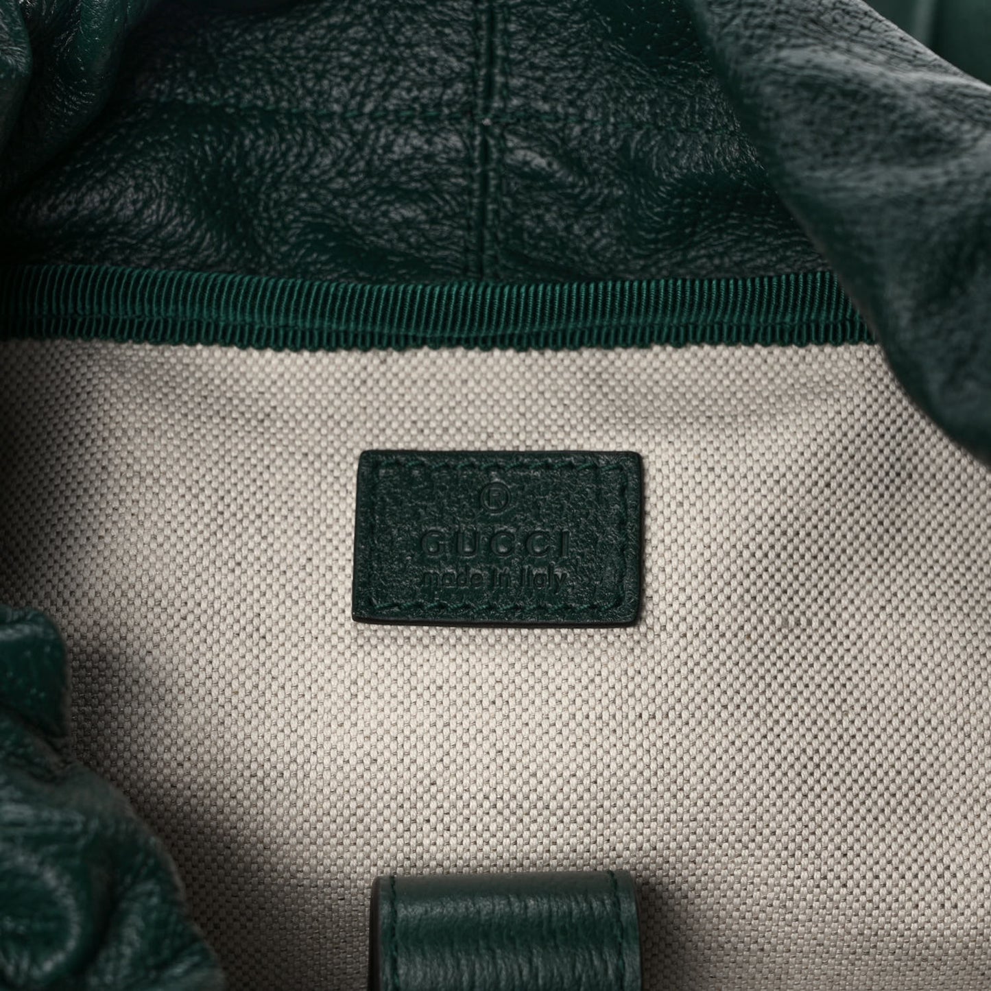 Grained Calfskin Medium Ophidia Double Buckle Backpack Green