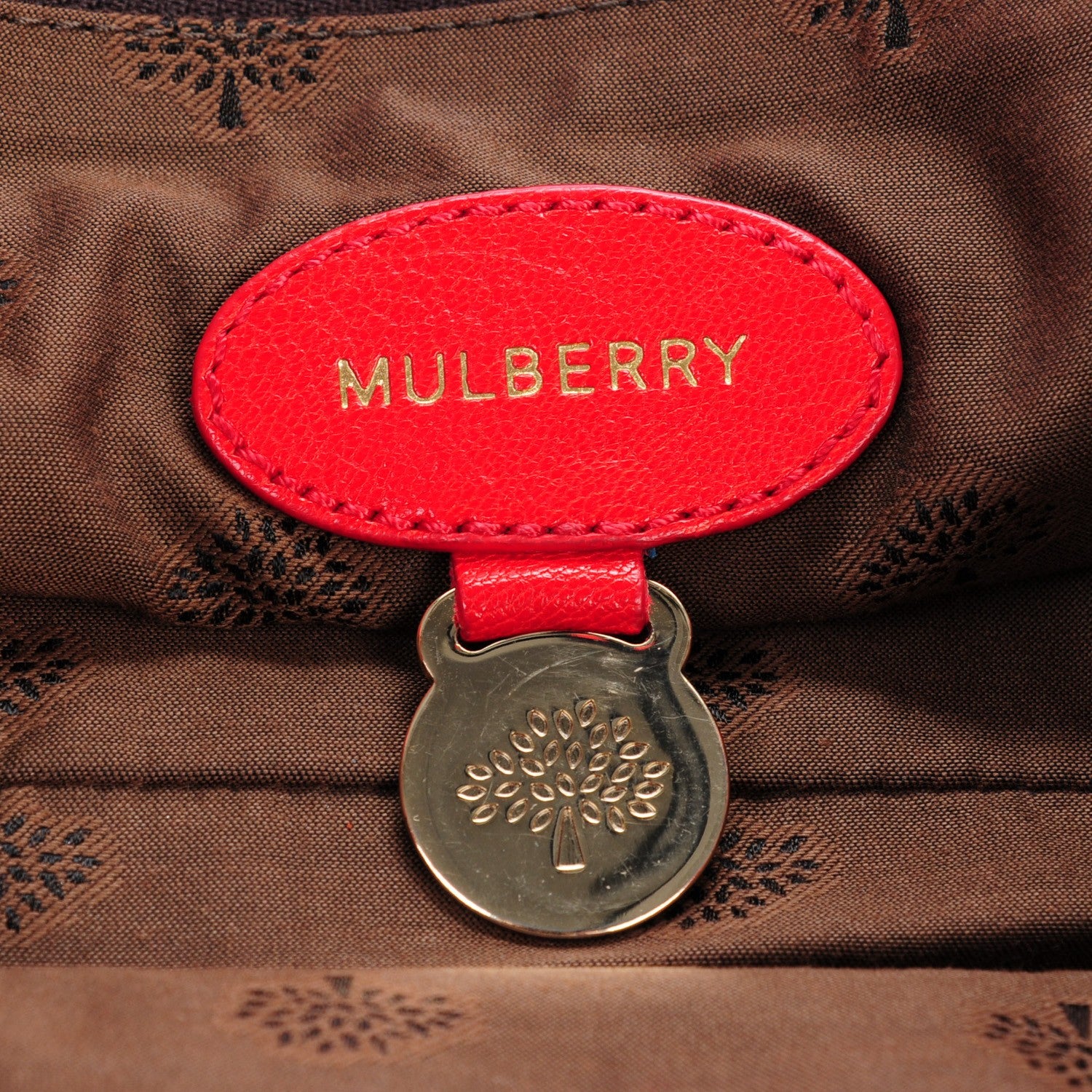 Mulberry Glossy Goatskin Medium Alexa Valentine Red 6 of 7