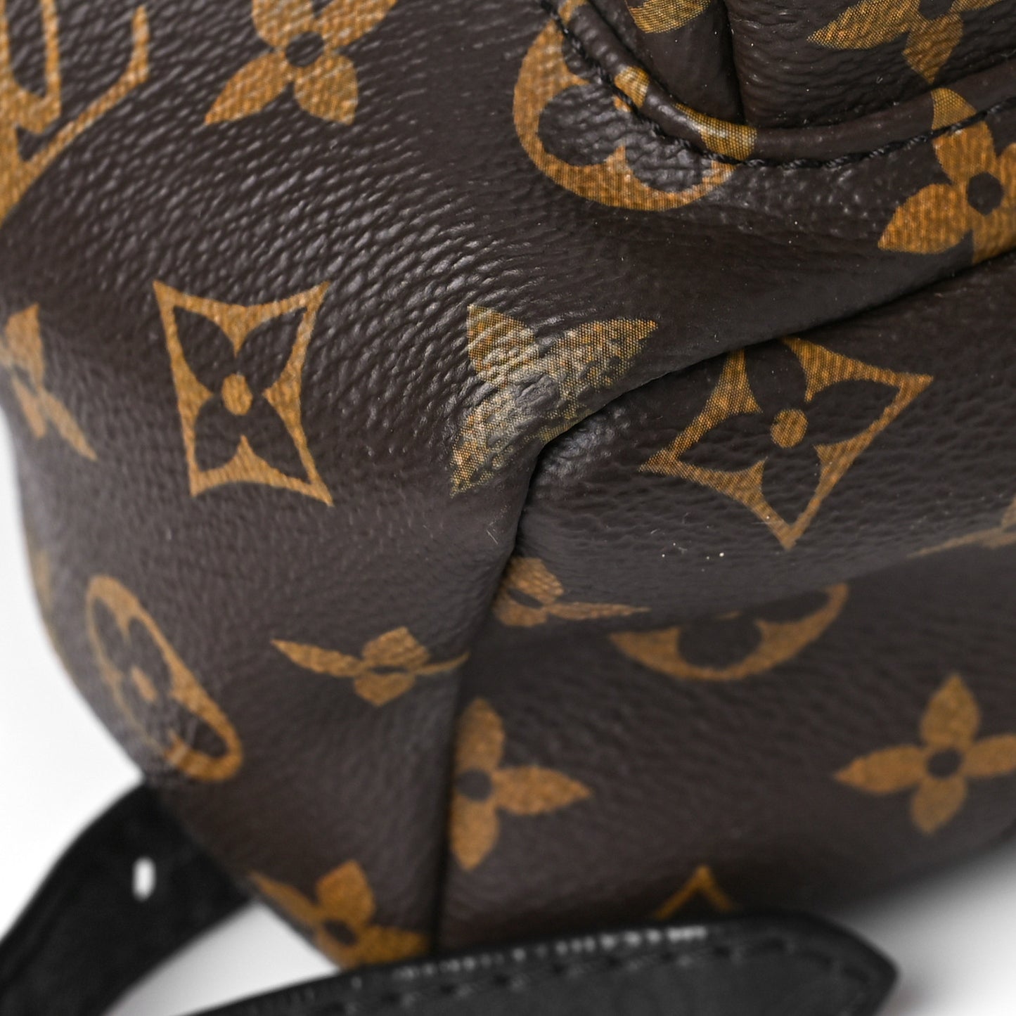 Monogram Palm Springs Backpack PM