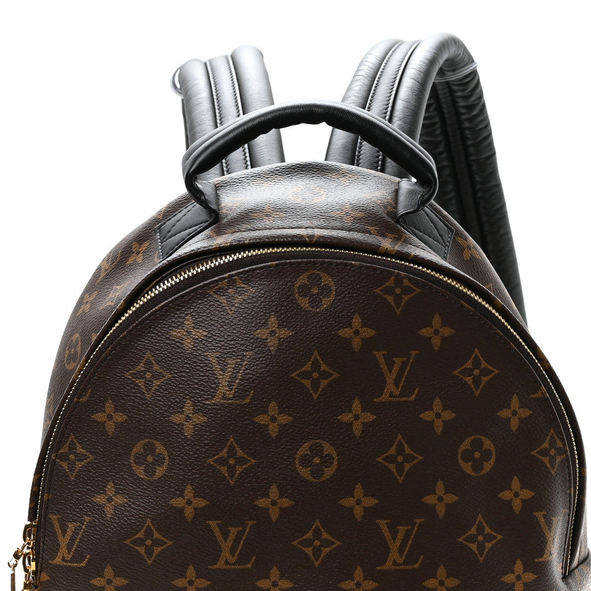 Monogram Palm Springs Backpack MM