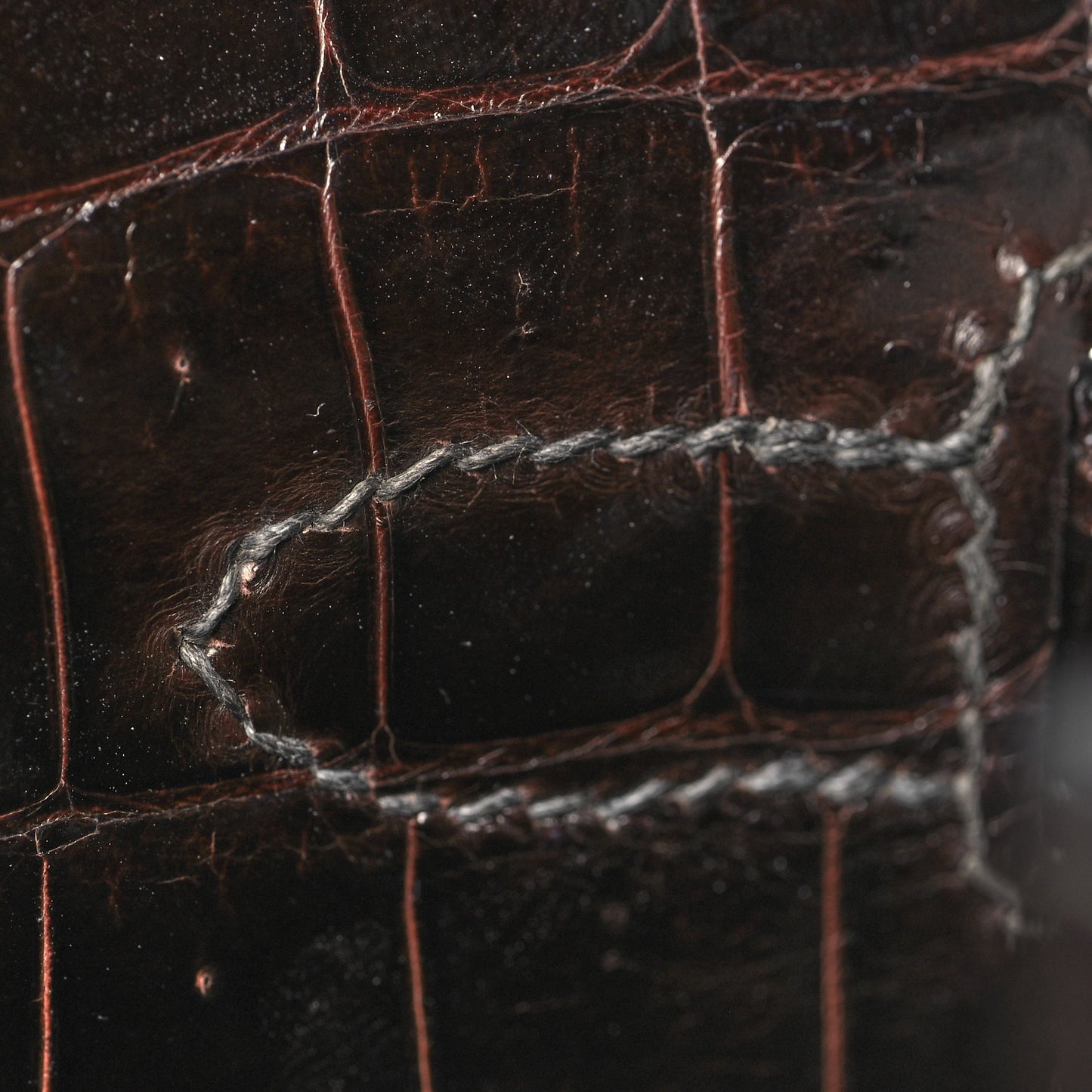 Shiny Niloticus Crocodile Kelly Sellier 28 Macassar