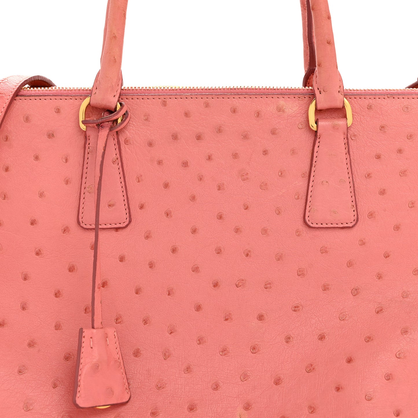Ostrich Large Galleria Double Zip Tote Begonia