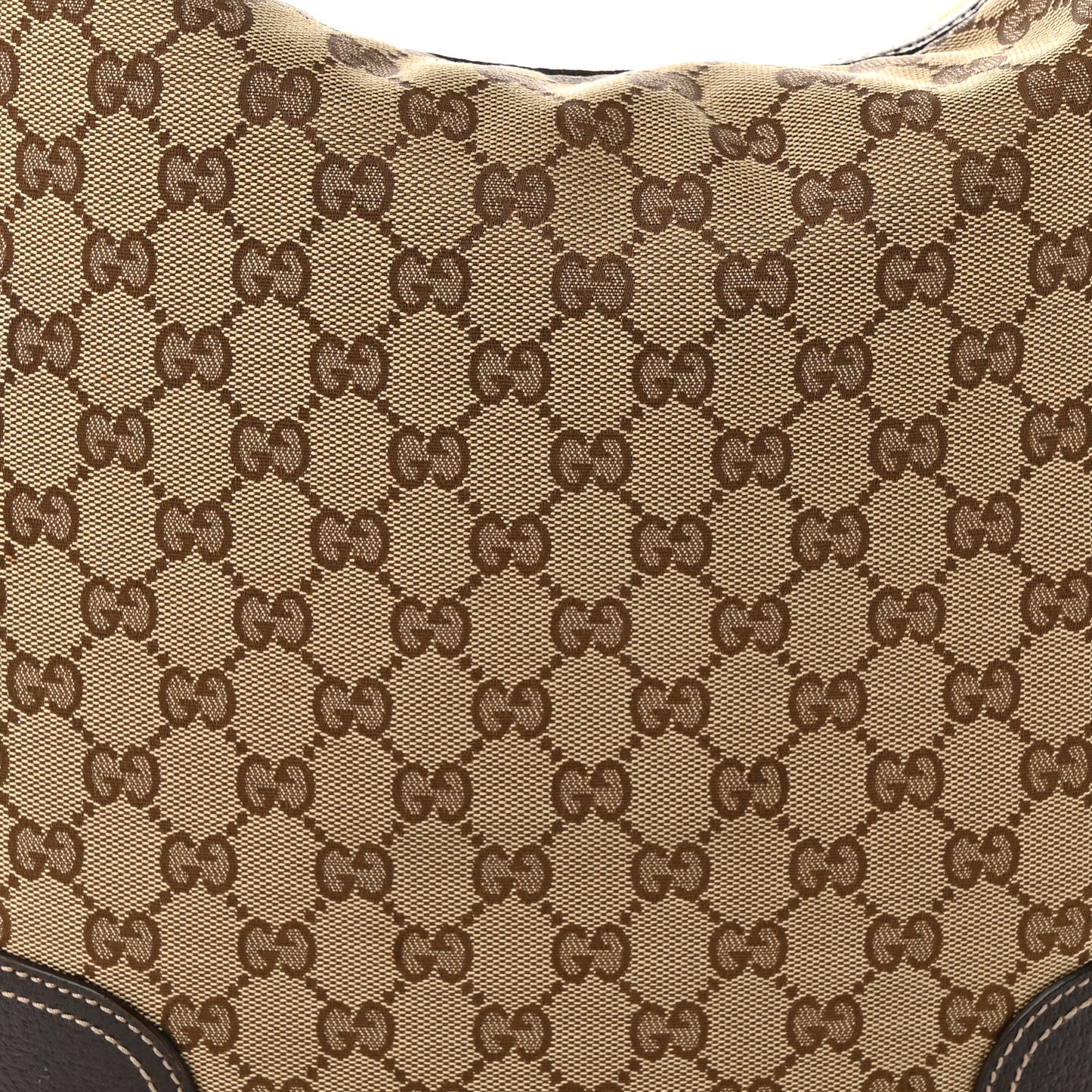 Monogram Large Princy Hobo Dark Brown