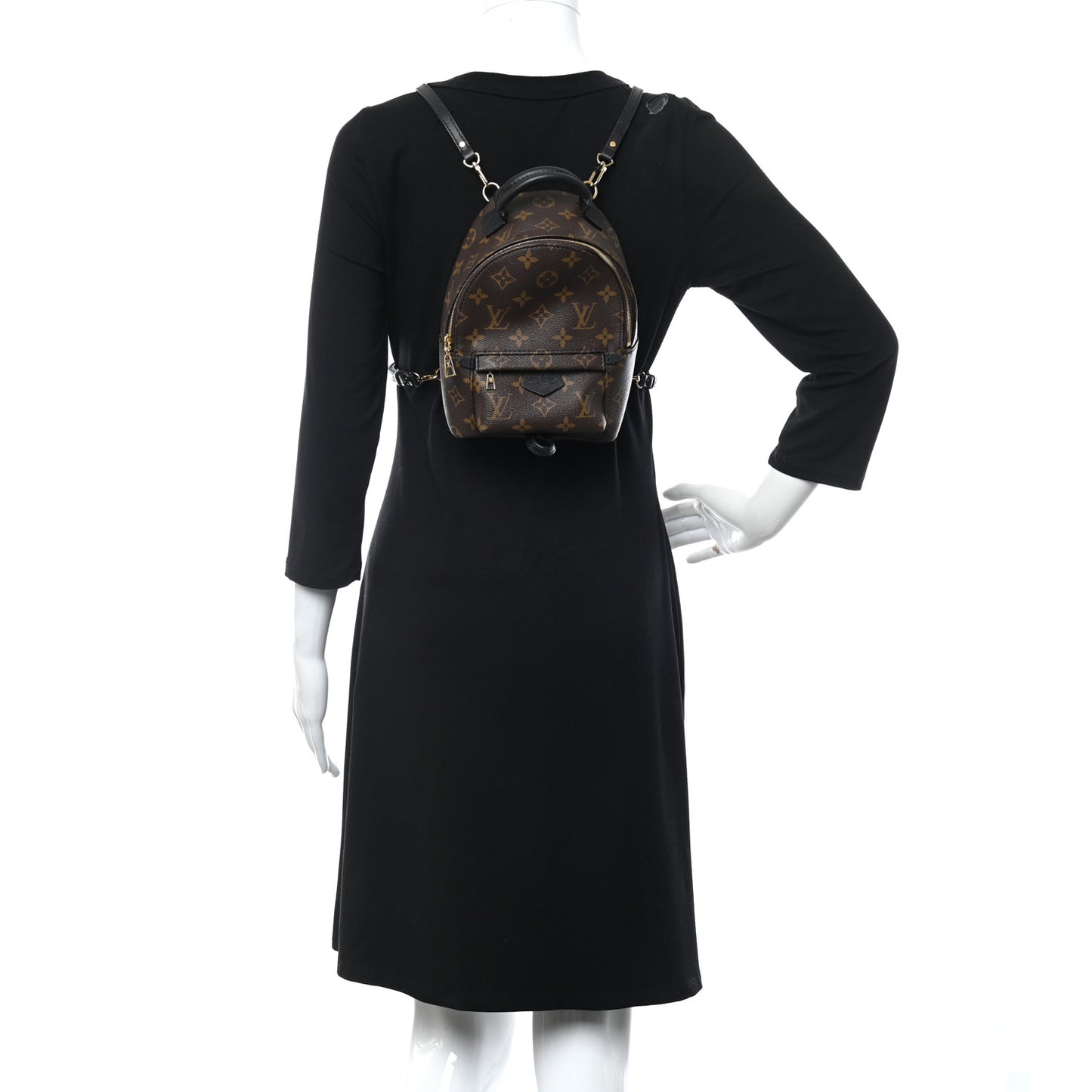 Monogram Palm Springs Backpack Mini