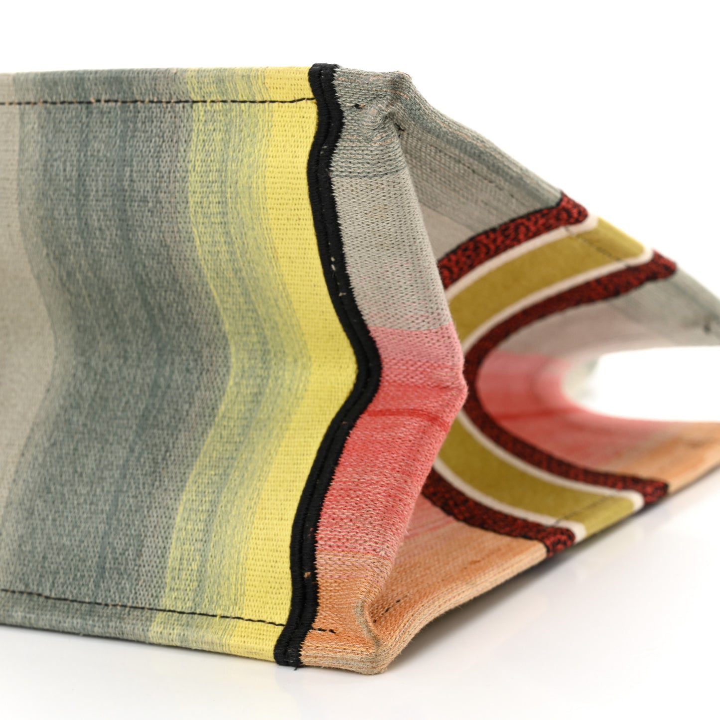 Canvas Embroidered Medium Dioraura Book Tote Multicolor