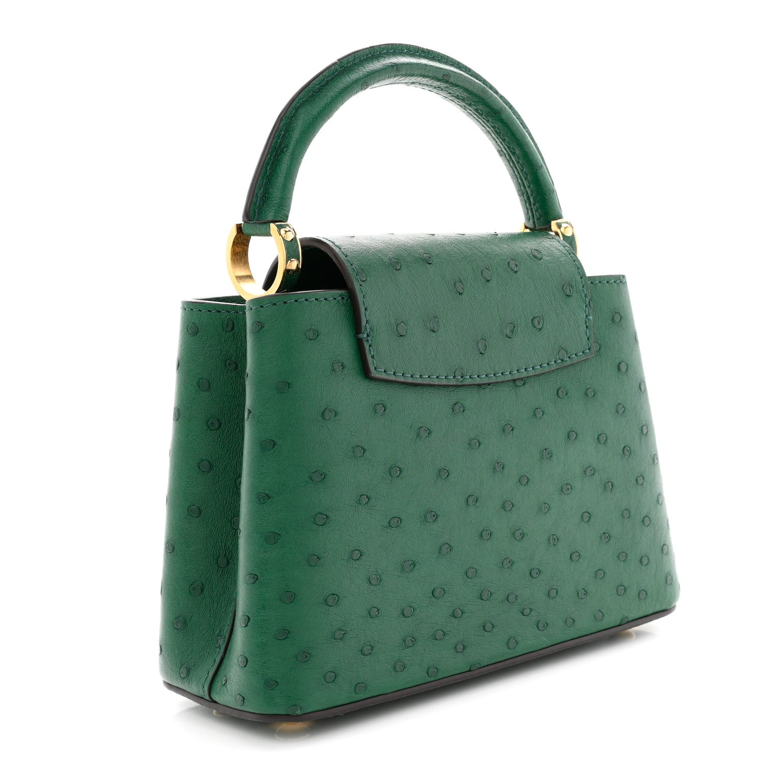 Louis Vuitton Ostrich Capucines Mini Mint 1874011 – FASHIONPHILE