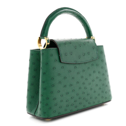 Louis Vuitton Ostrich Capucines Mini Mint 3 of 9