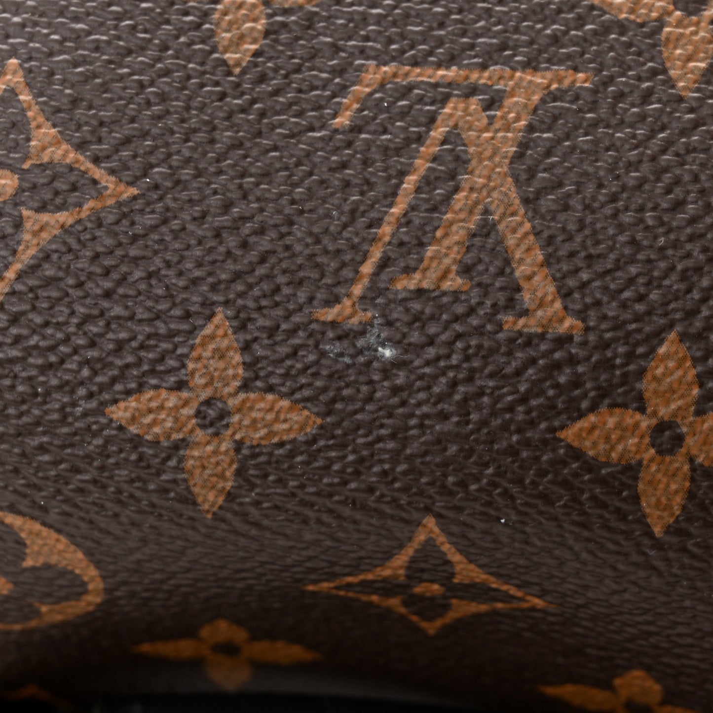 Monogram Macassar Christopher PM Backpack