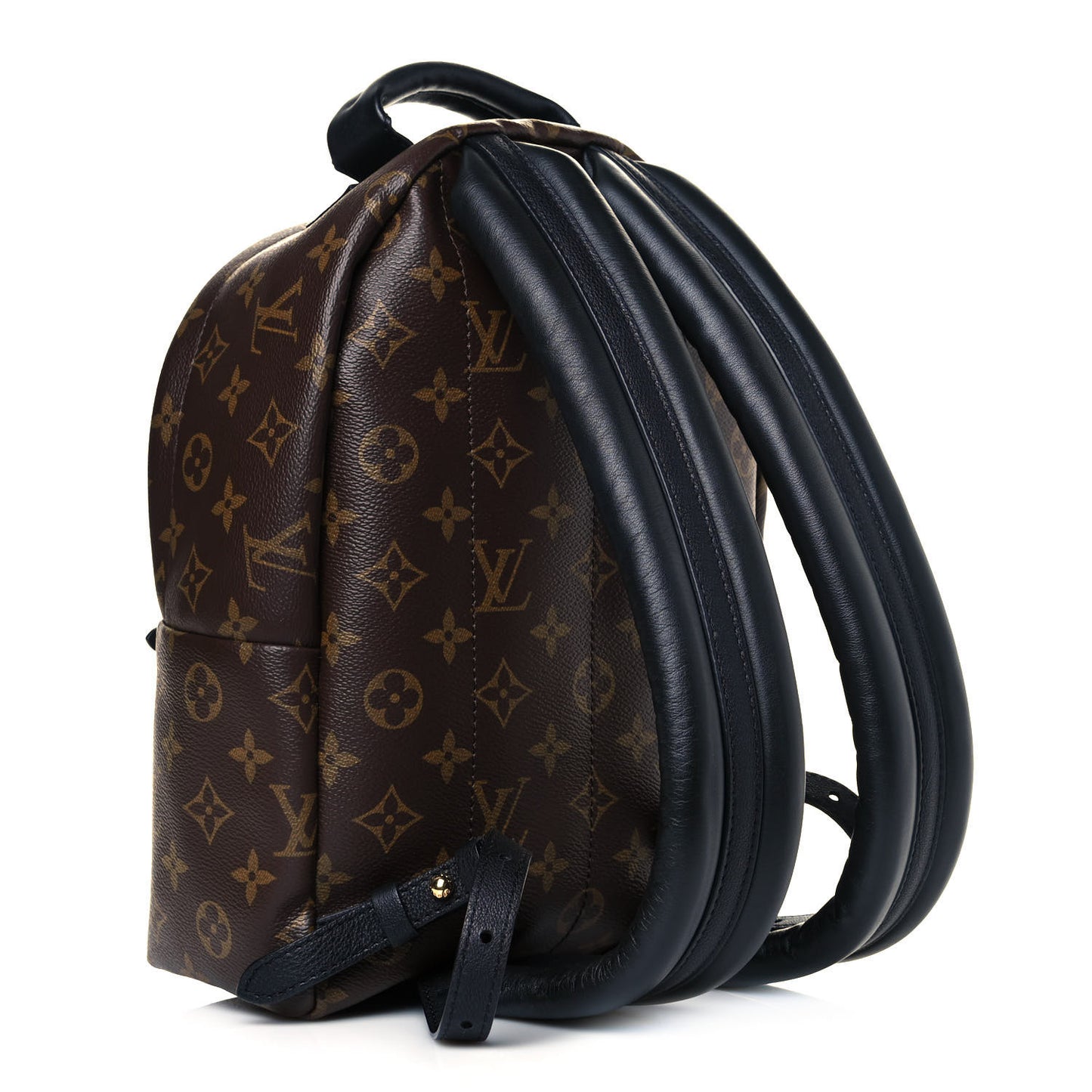 Monogram Palm Springs Backpack PM