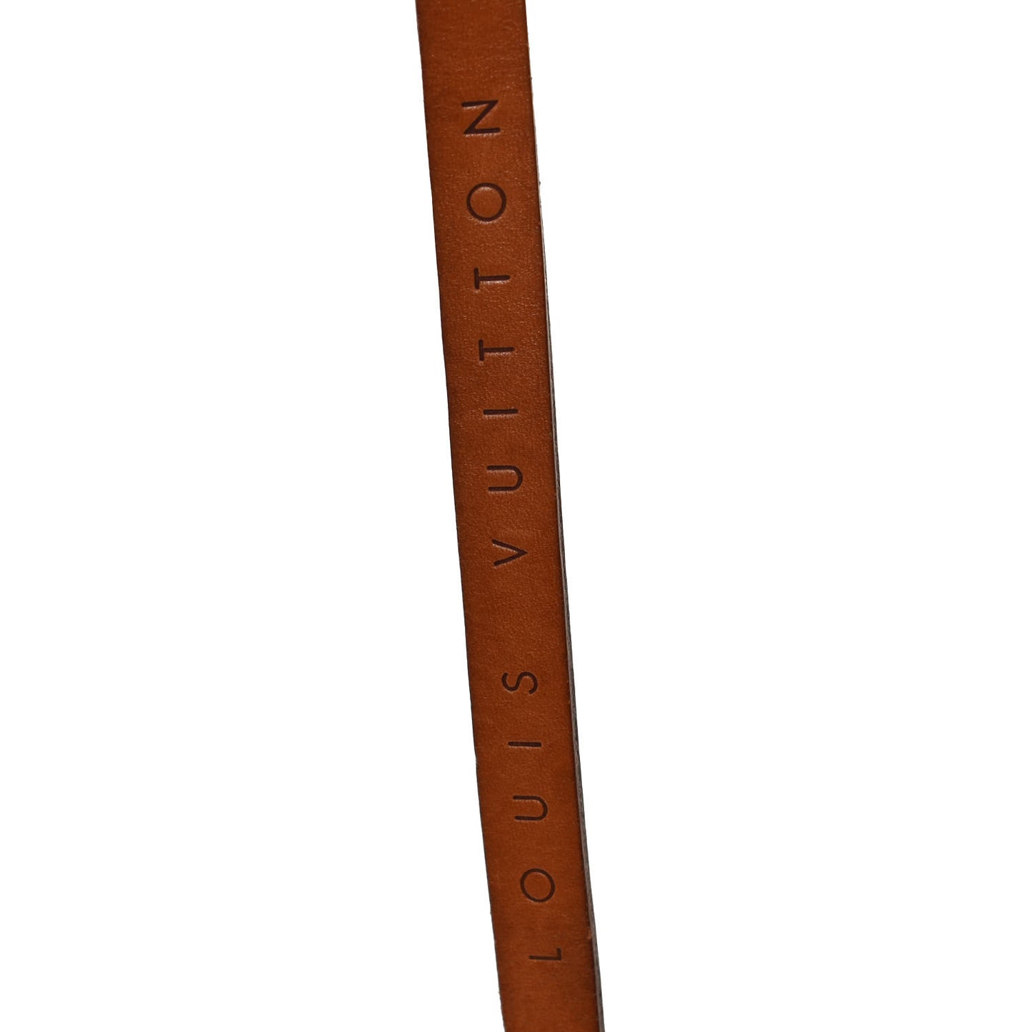 Monogram Pochette Florentine Bum Bag