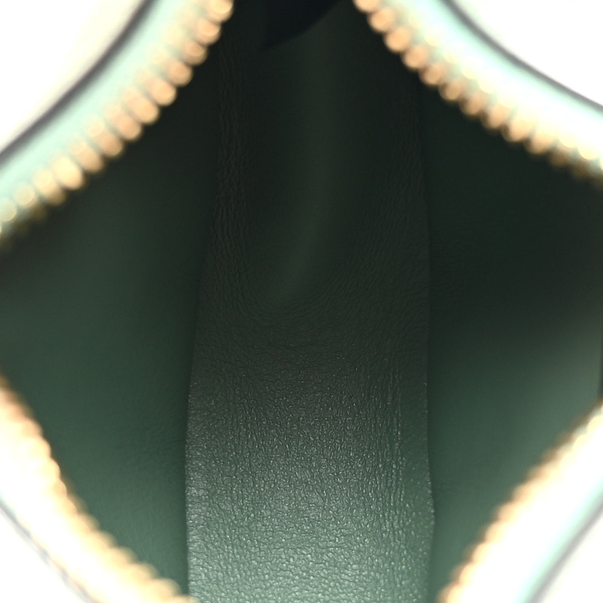 Fendi Vitello Grace New Matte Nano Fendigraphy Hobo Charm Menta 5 of 7