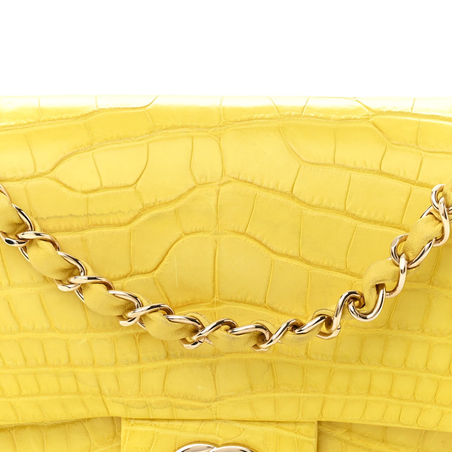 Alligator Medium Double Flap Yellow