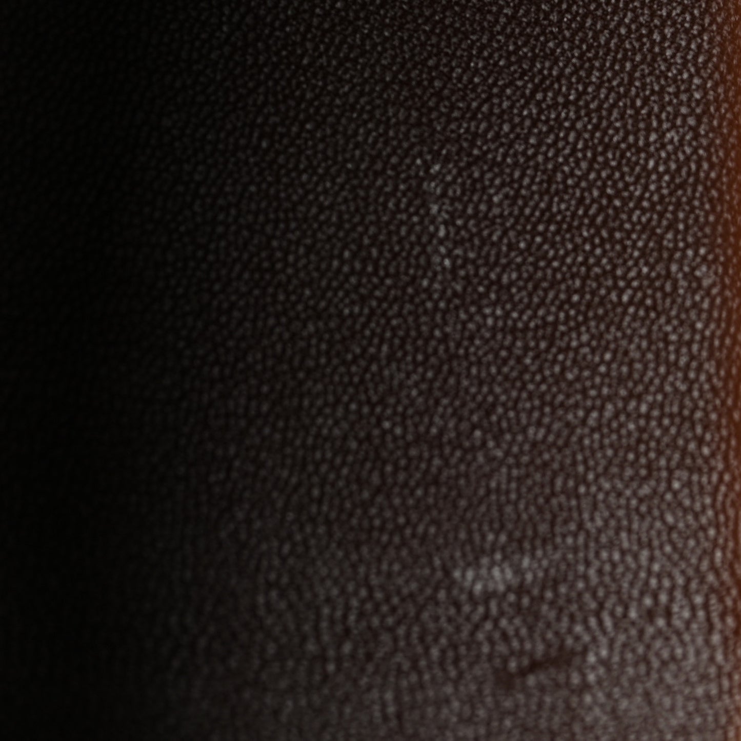 Courchevel Kelly Sellier 32 Noisette