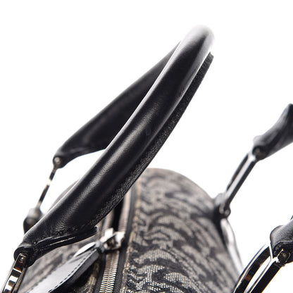 Christian Dior Monogram Boston Black 10 of 10