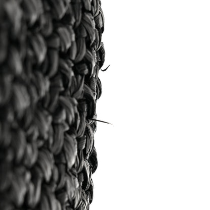 Proenza Schouler Raffia Calfskin Pipe Bag Black 12 of 12