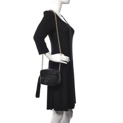 Chanel Lambskin Quilted Tassel Camera Case Brown 2 of 9