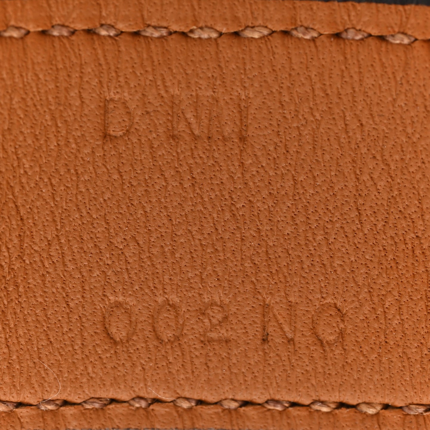 Lizard 2002 Bracelet Ombre