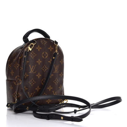 Louis Vuitton Monogram Palm Springs Backpack Mini 3 of 8