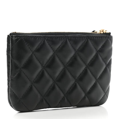 Chanel Lambskin Quilted Small No. 5 Cosmetic Case Black 3 of 9