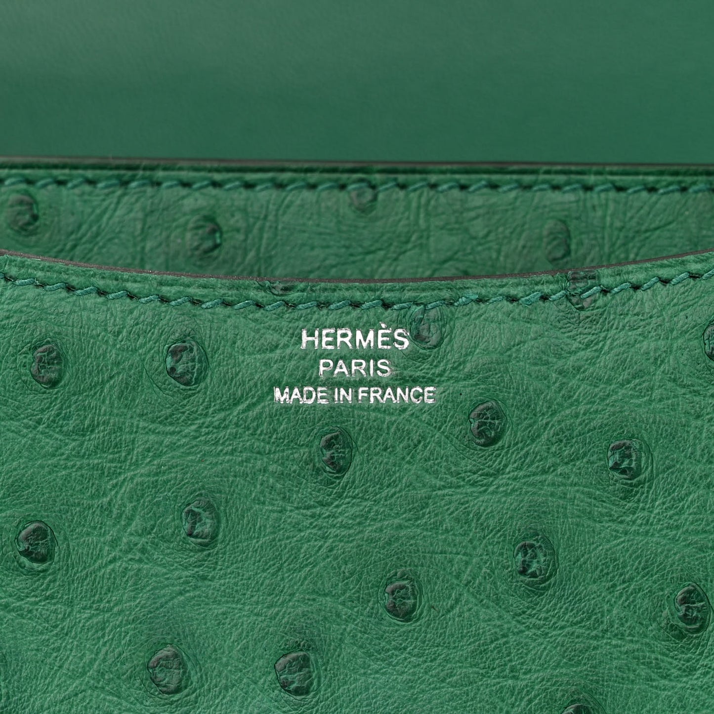 Ostrich Constance 18 Vert Vertigo
