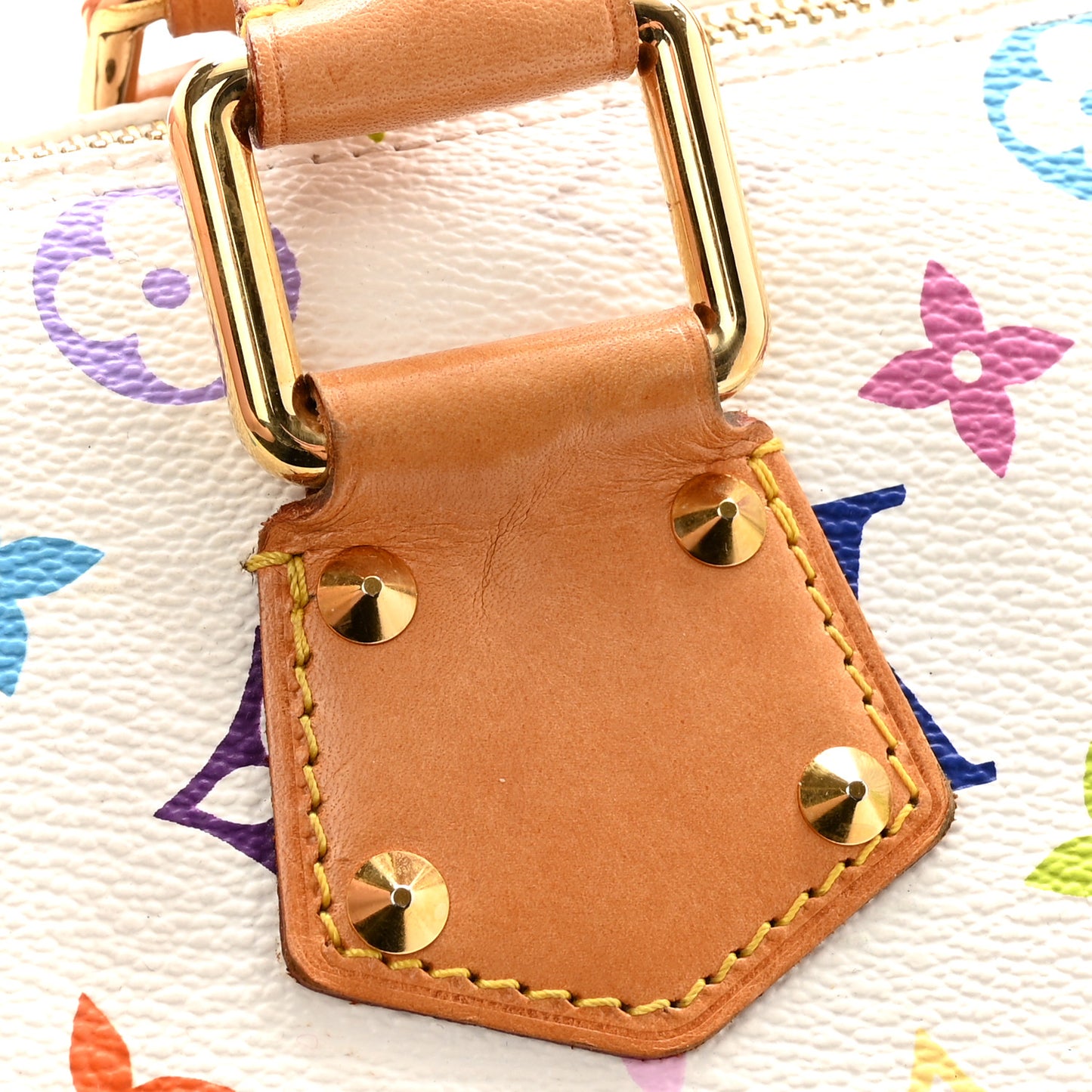 Monogram Multicolor Speedy 30 White