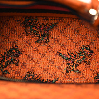 Christian Dior Canvas Embroidered Dino Medium Lady D-Lite Orange Multicolor 5 of 16