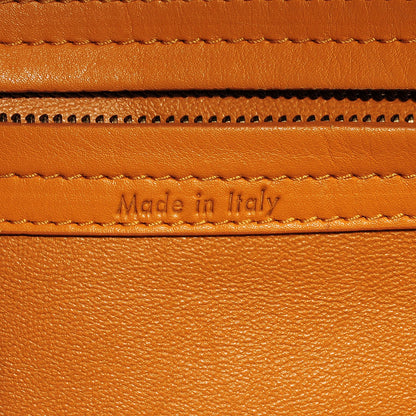 Celine Suede Medium Phantom Luggage Amber 4 of 8