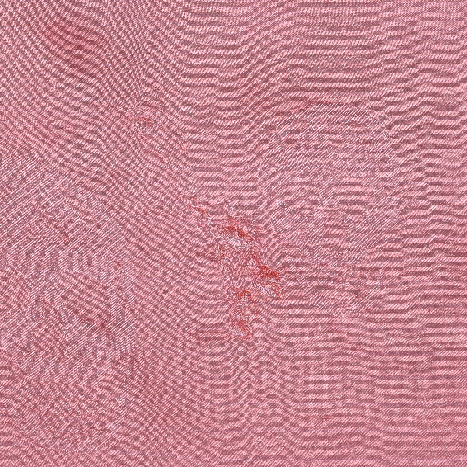 Alexander McQueen Silk Degrade Skull Scarf Pink 5 of 8